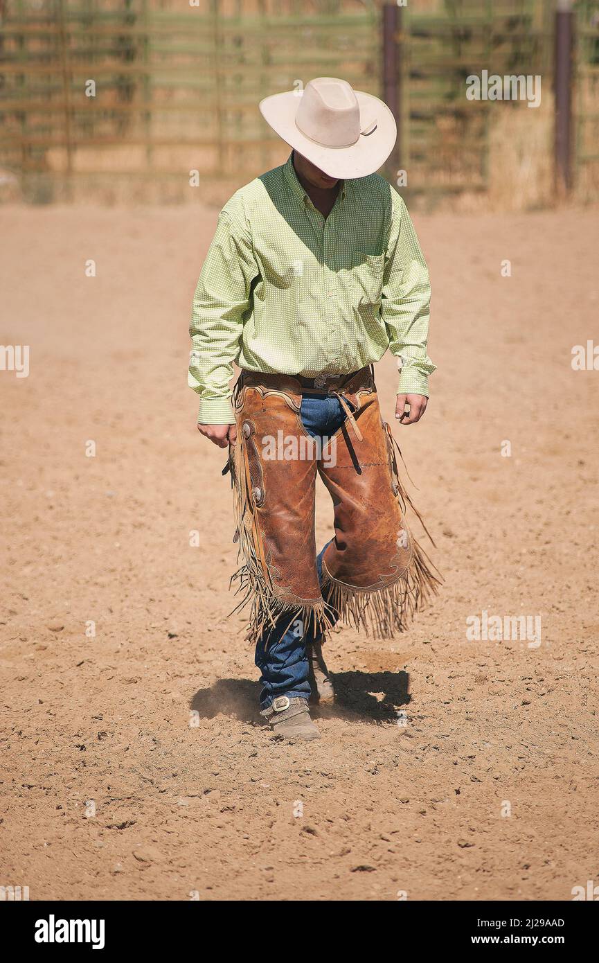 Working rancher with chinks and hat on walking on a dusty ground. Cowboy with chinks on walking through rodeo ground. Cowboy wearing chinks. Stock Photo
