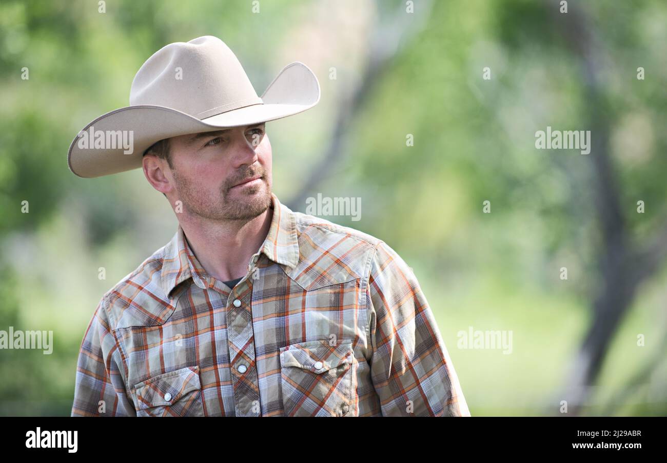 Handsome cowboy with a strong profile, wearing Stetson style hat looks into the distance. Cowboy profile. Marlboro Man. Wyoming cowboy. USA Stock Photo