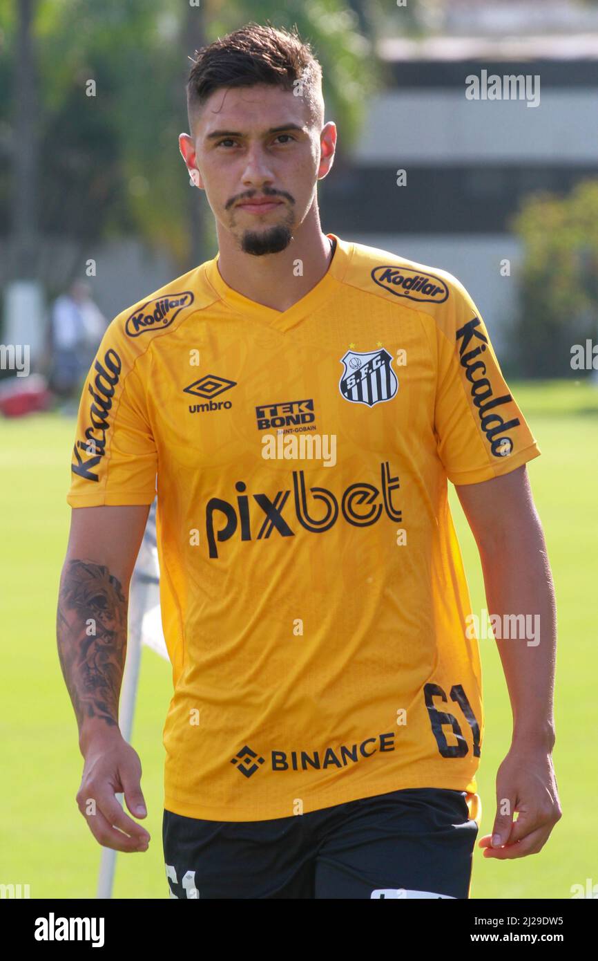 Santos Fc Brazil