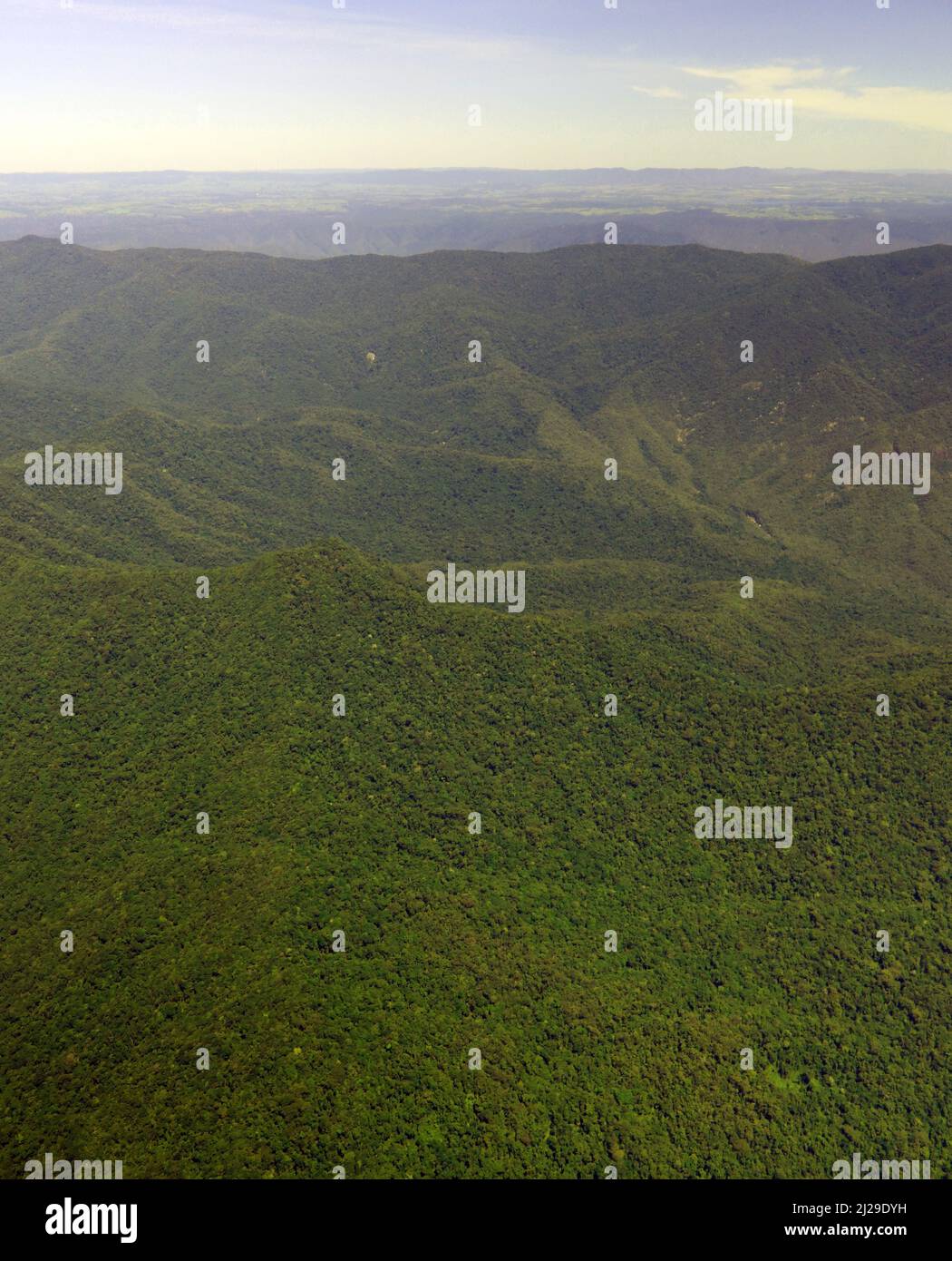 Aerial view of Wet Tropics World Heritage rainforests on the slopes of Bellenden Ker, near Cairns, Queensland, Australia Stock Photo