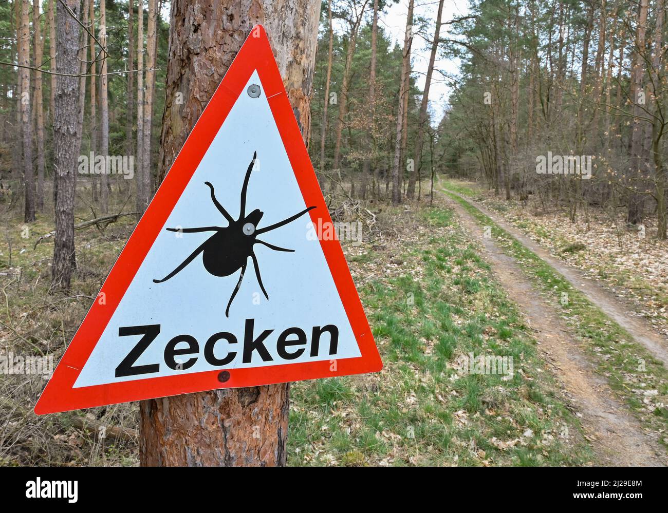30 March 2022, Brandenburg, Müllrose A warning sign against ticks
