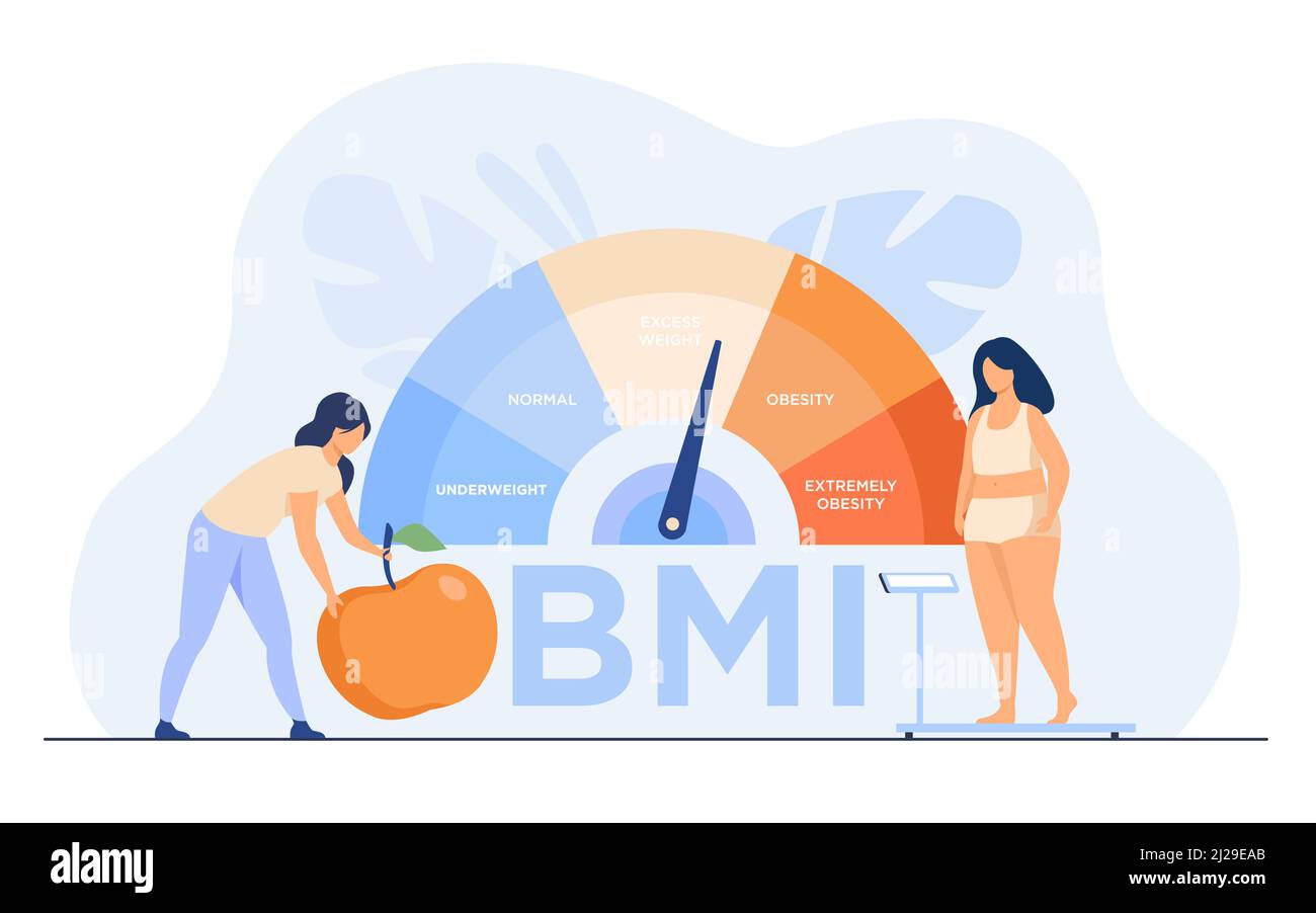 BMI chart, scale, vector illustration. Body mass index meter