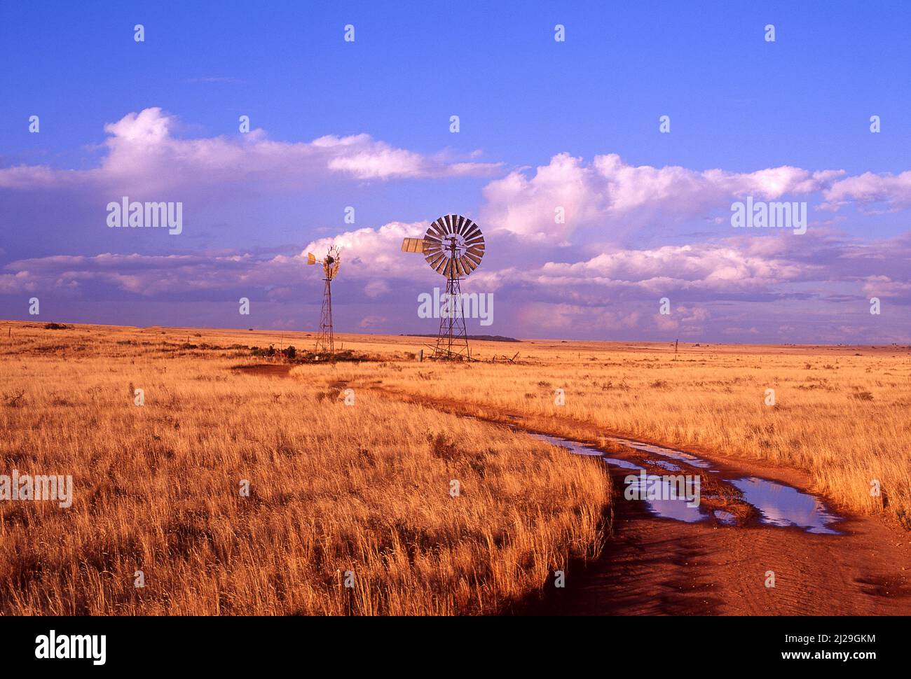 Australian landcapes hi-res stock photography and images - Alamy