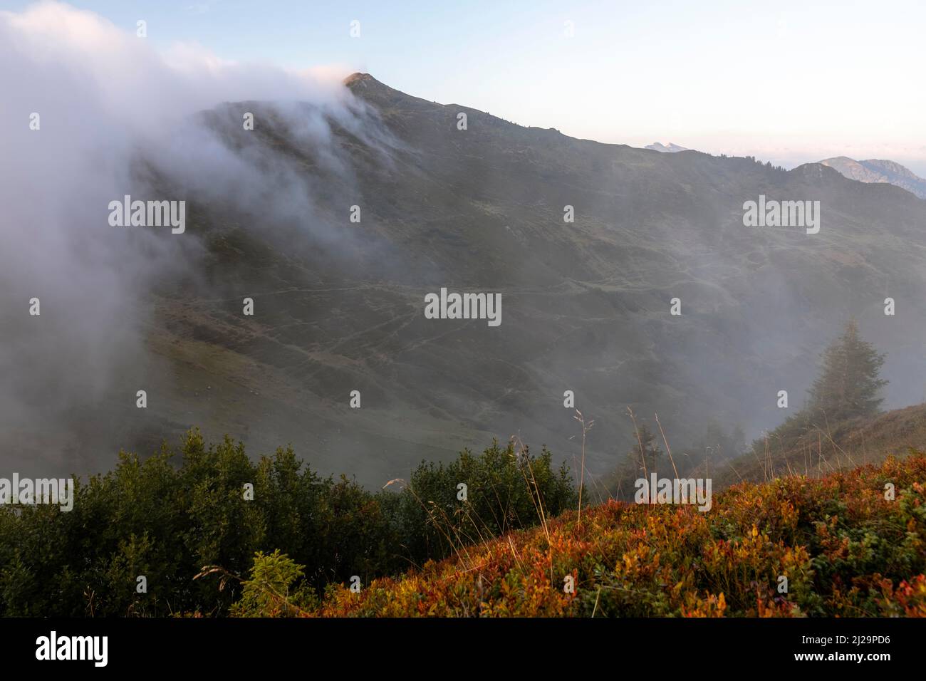 Fog in the high valley on an autumn evening at Potlakopf, Damuels, Bregenzerwald, Vorarlberg, Austria Stock Photo