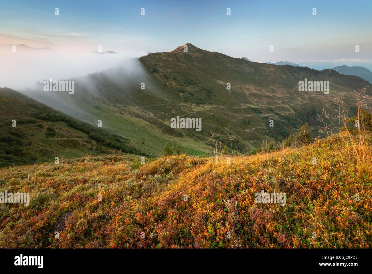 Fog in the high valley on an autumn evening at Potlakopf, Damuels, Bregenzerwald, Vorarlberg, Austria Stock Photo