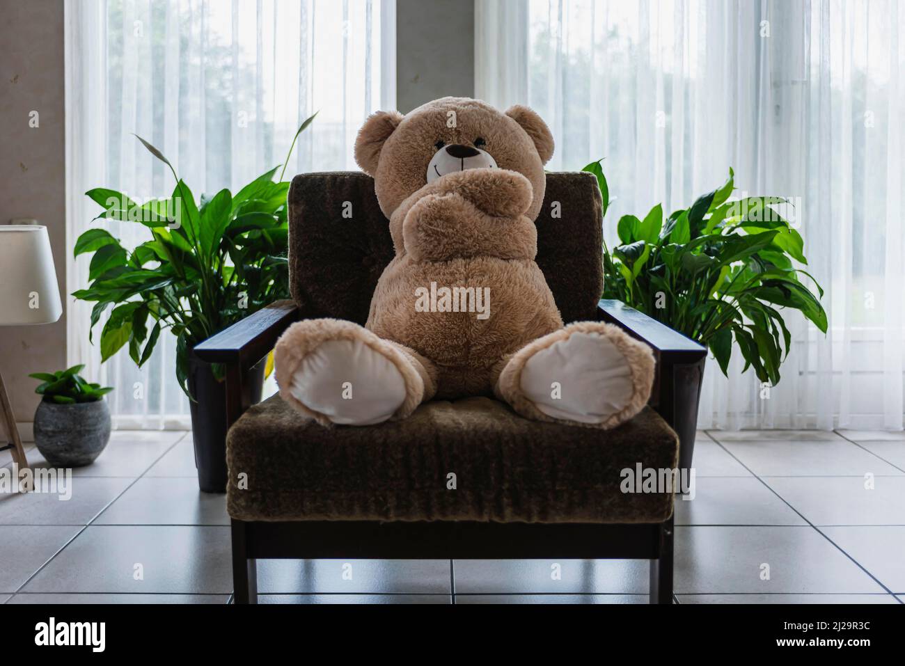 Teddy bear sitting on an armchair in the living room Stock Photo - Alamy