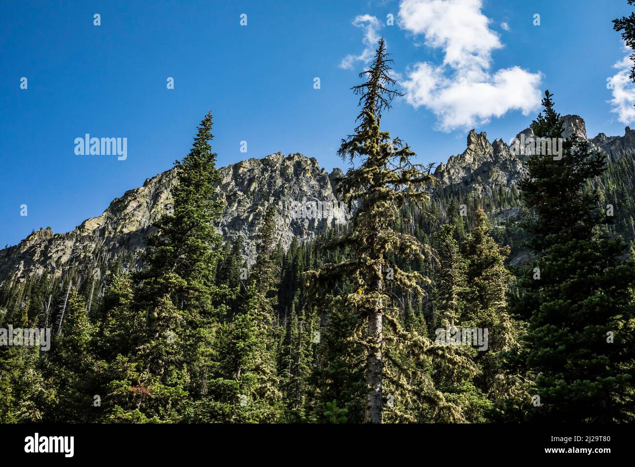 Mountains above Big Timber Creek trail in the Crazy Mountain range