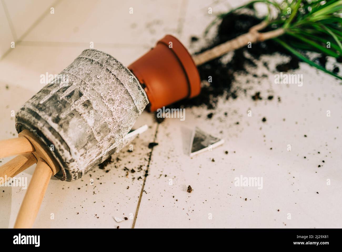Broken flower pot on the floor with spilled soil and damaged plant