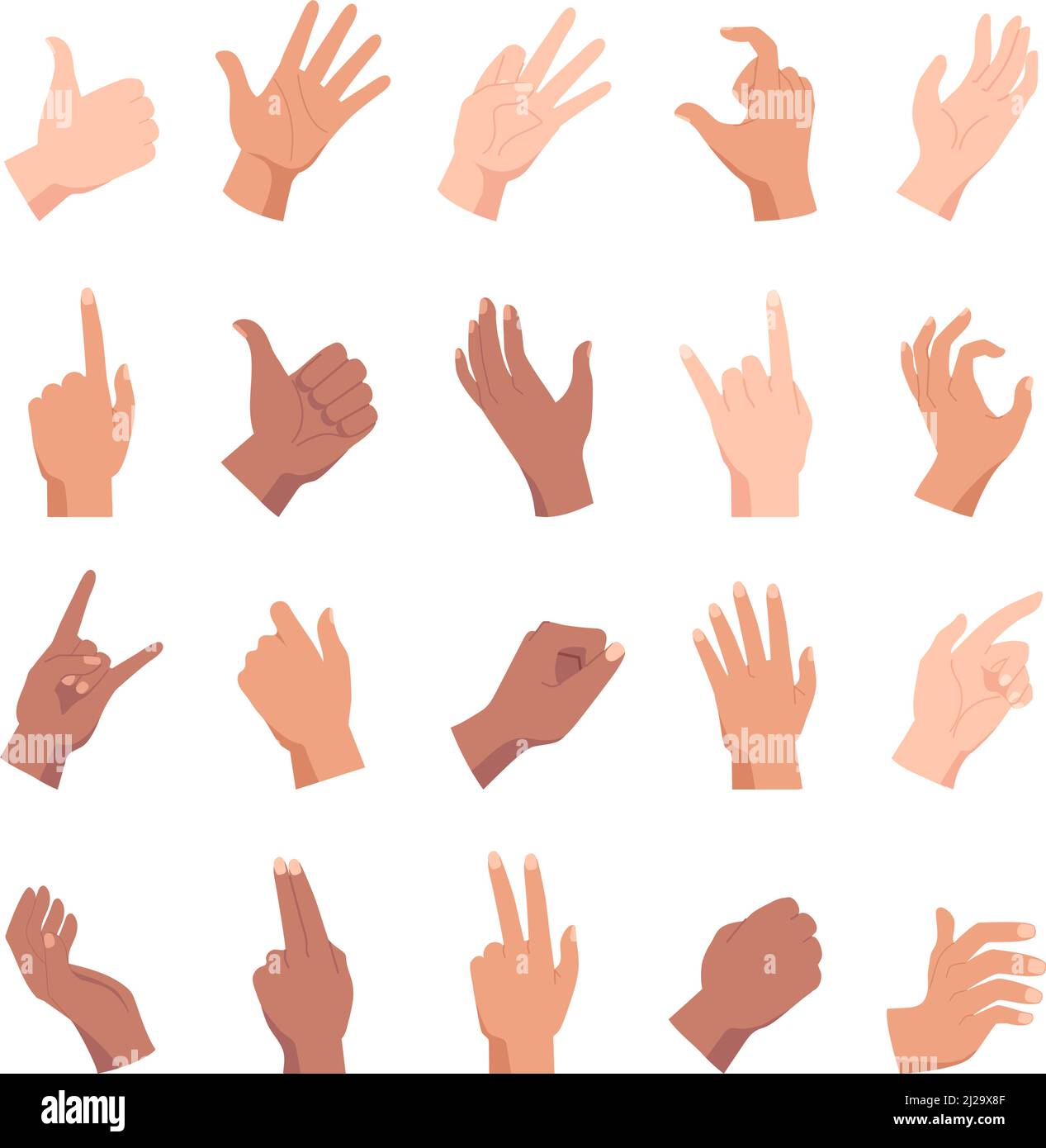 Cartoon hand poses, holding, pointing and like gesture. Diverse people hands, fists and palm positions and signs. Woman arm count vector set Stock Vector