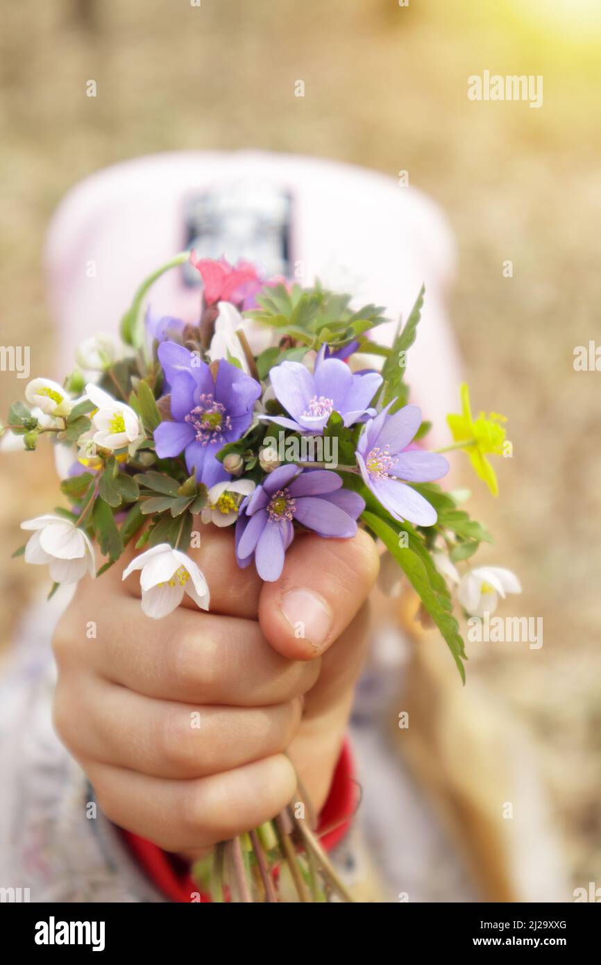 Girl holding a bouquet of wildflowers Stock Photo