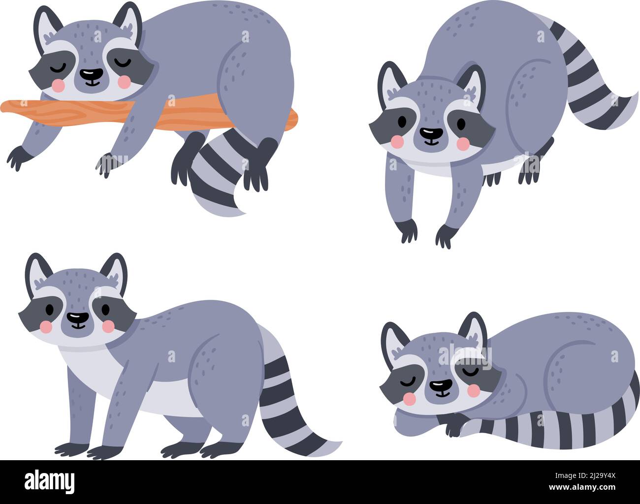Cute cartoon baby raccoon, animal sleep and rest Stock Vector
