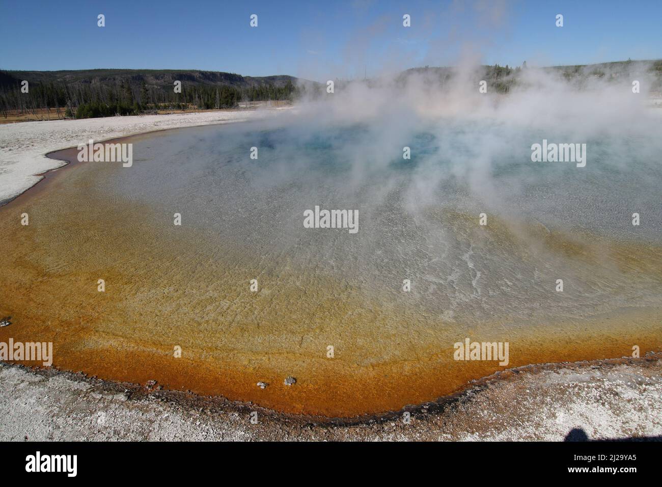 Yellowstone Spring Steam The steam emitting from the hot spring at Yellowstone National Park in ...