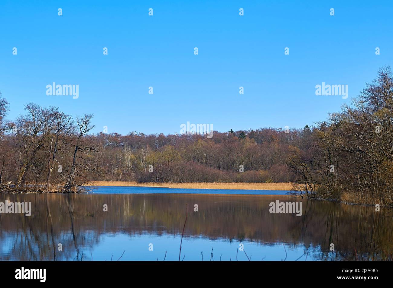 Lake Lessahn as seen from the isle of castle Stintenburg Stock Photo