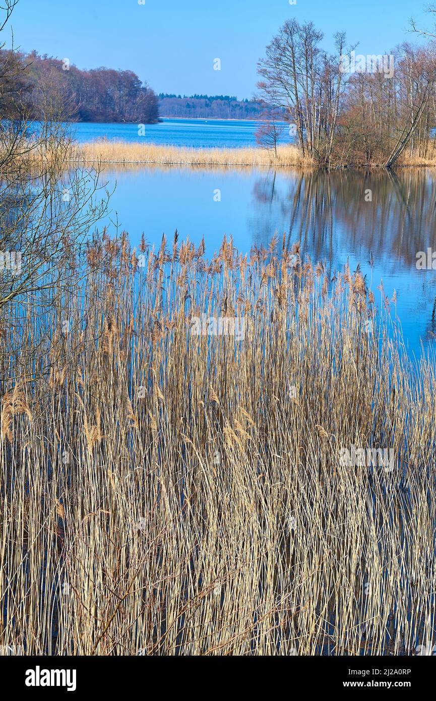 Lake Lessahn as seen from the isle of castle Stintenburg Stock Photo