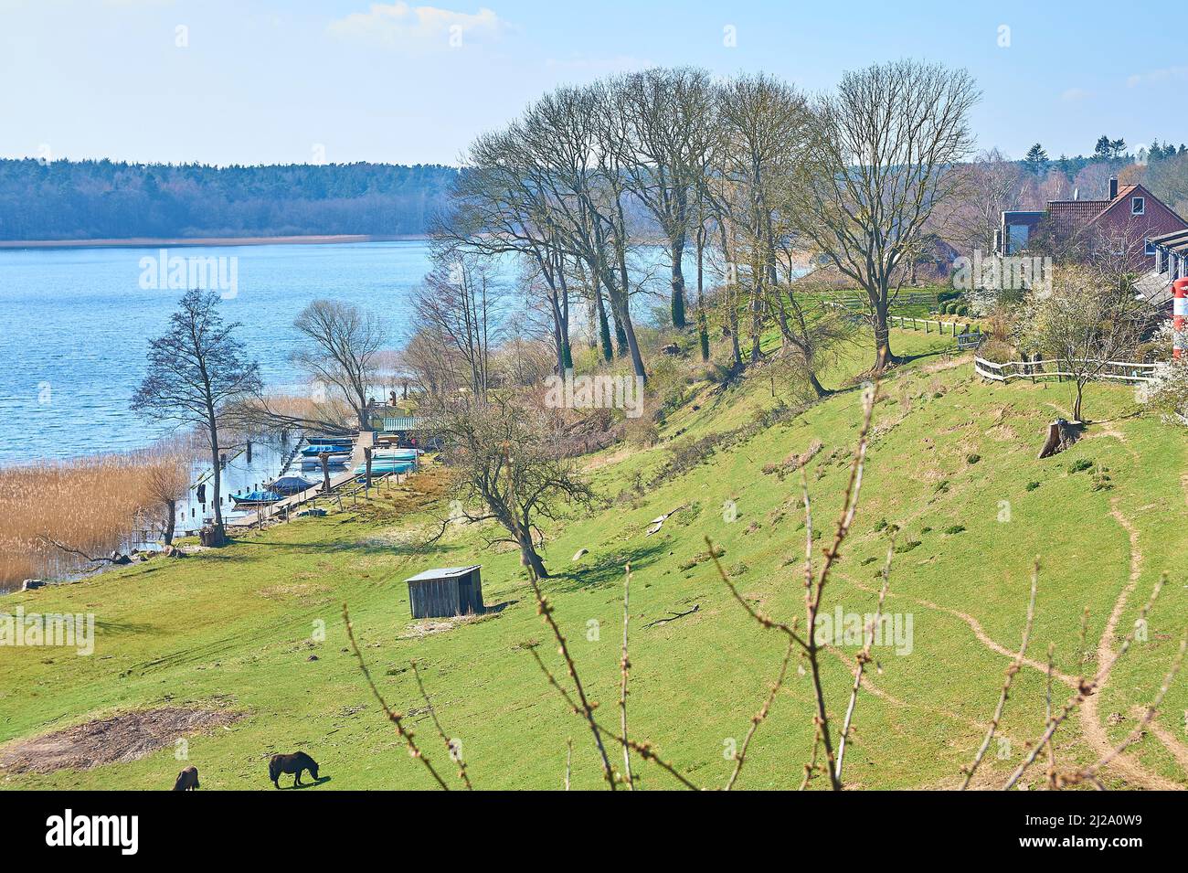 Final ice age moraines at the shore of Lake Schaalsee, Northern Germany Stock Photo