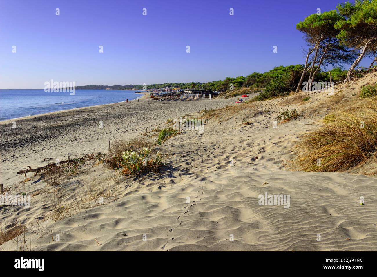 The most beautiful sandy beaches of Apulia in Italy: Alimini Beach in Salento coast. Stock Photo