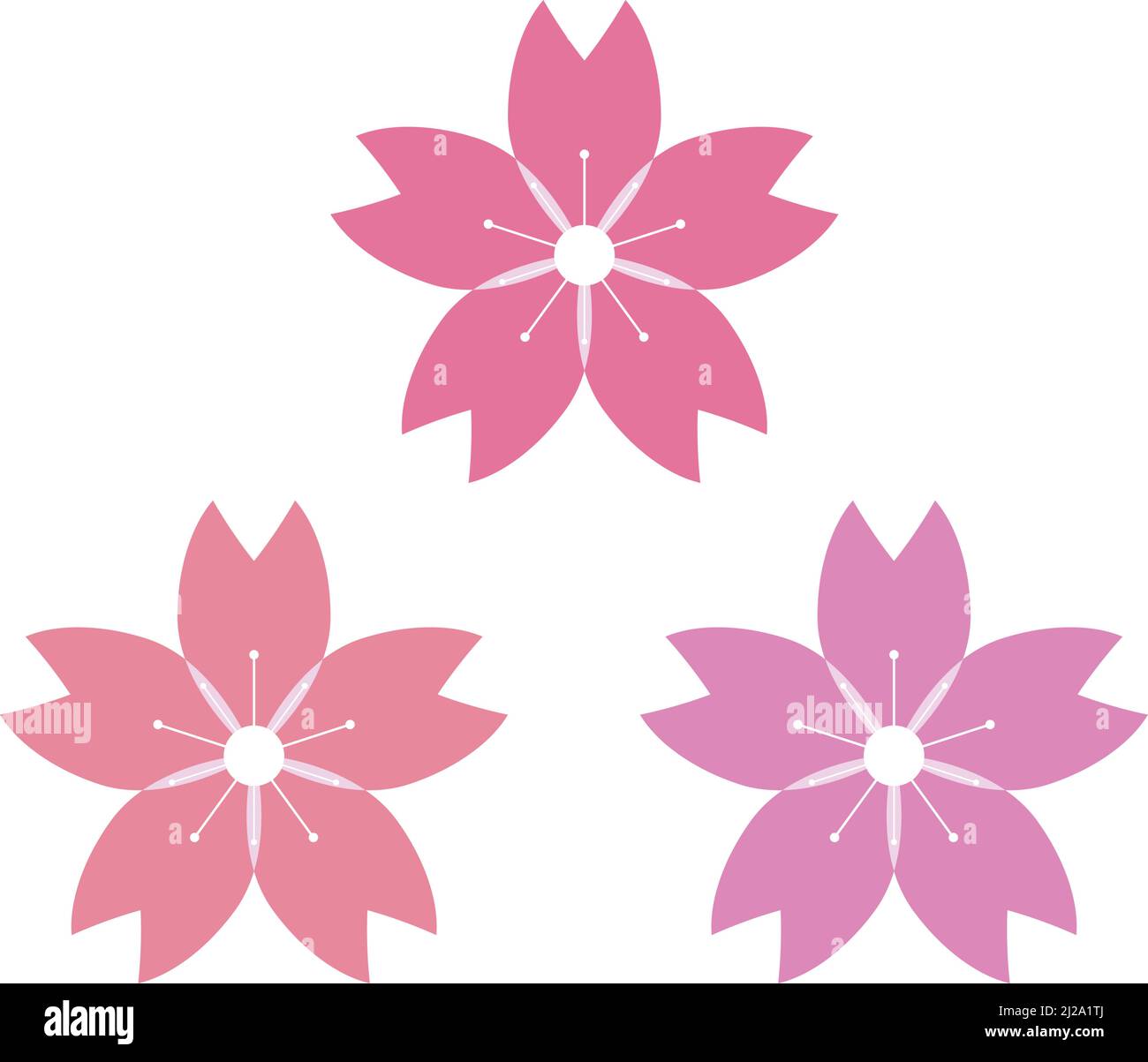 Three pink cherry blossoms Stock Vector Images - Alamy