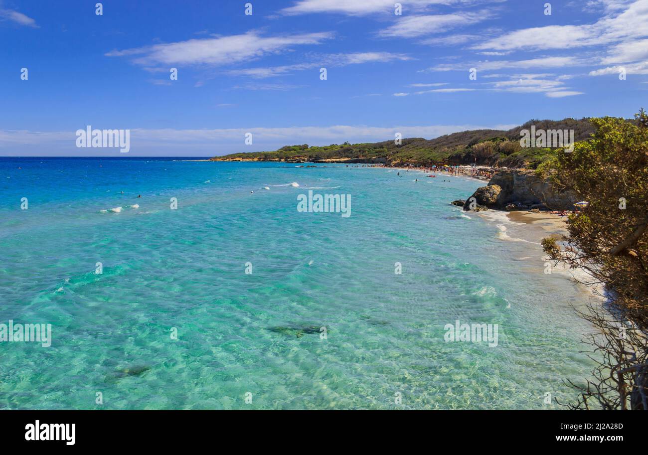 Protected oasis of the lakes Alimini: Turkish Bay is one of the most important ecosystems in Salento (Italy). Stock Photo