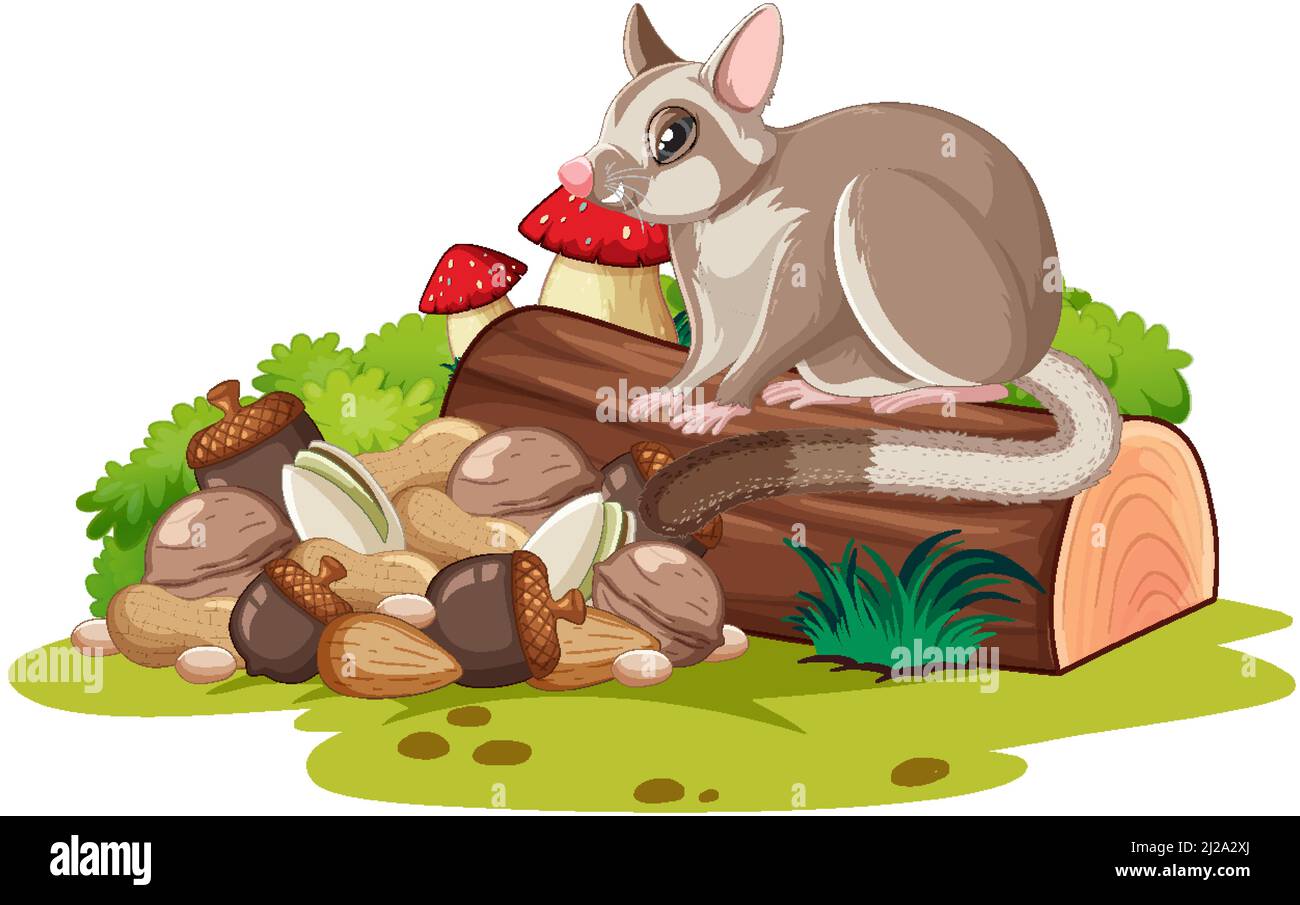 Sugar glider sitting on the log illustration Stock Vector