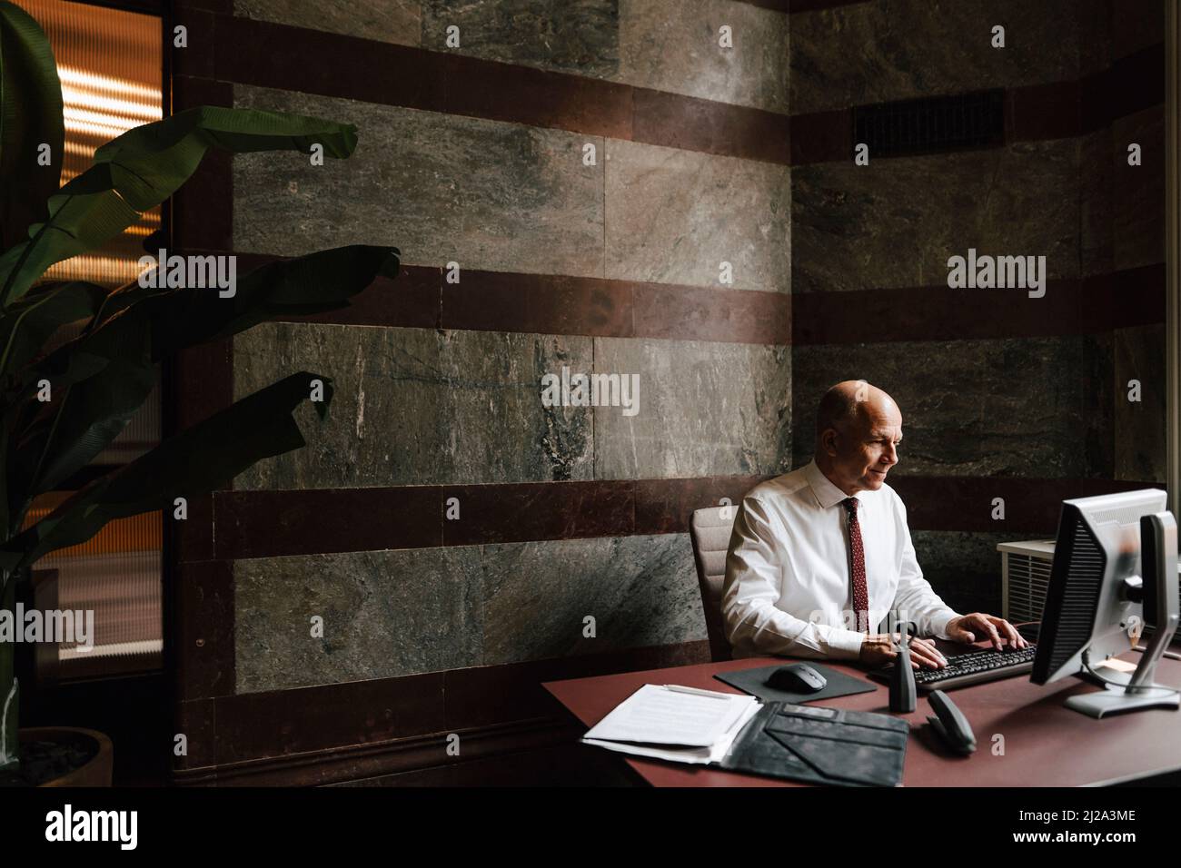 Working senior businessman using computer at law office Stock Photo