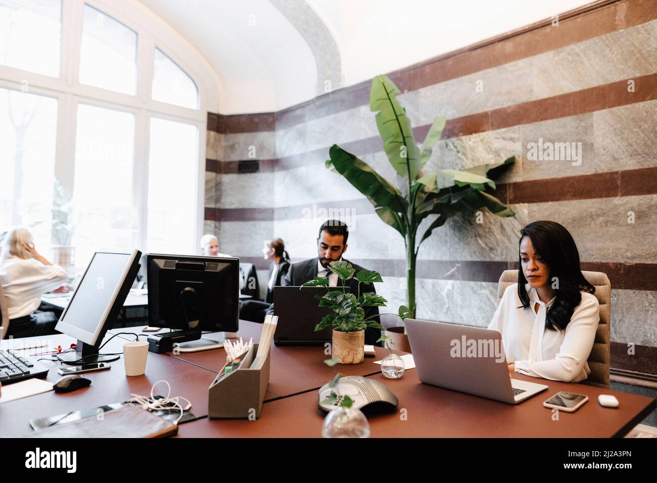 Female and male lawyers using laptops at desk in office Stock Photo
