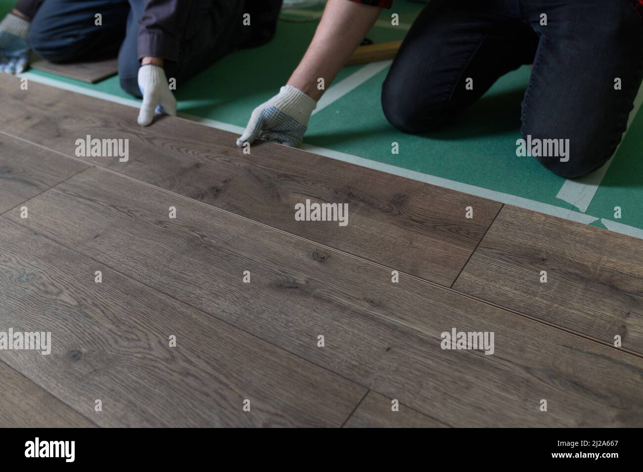 A worker hands knocking on a laminate connecting the panels with a Lock Click Stock Photo