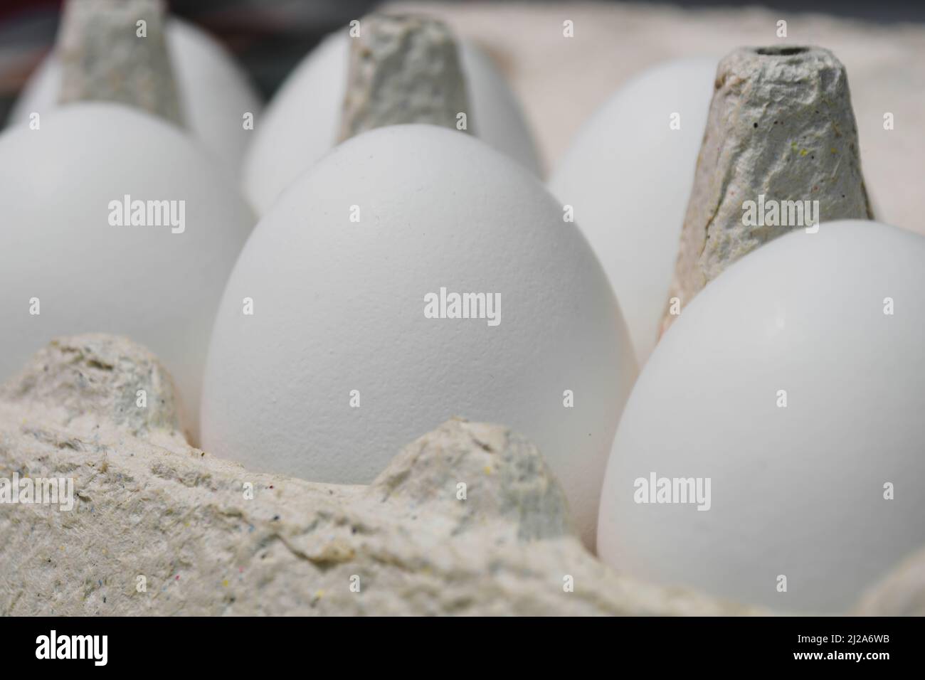 White chicken eggs are in a cardboard box Stock Photo
