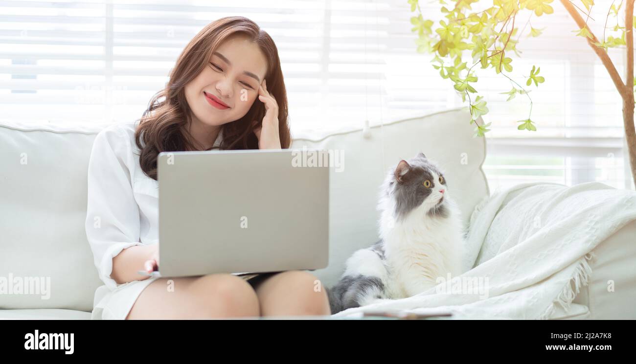 Young Asian businesswoman working and playing with cat Stock Photo