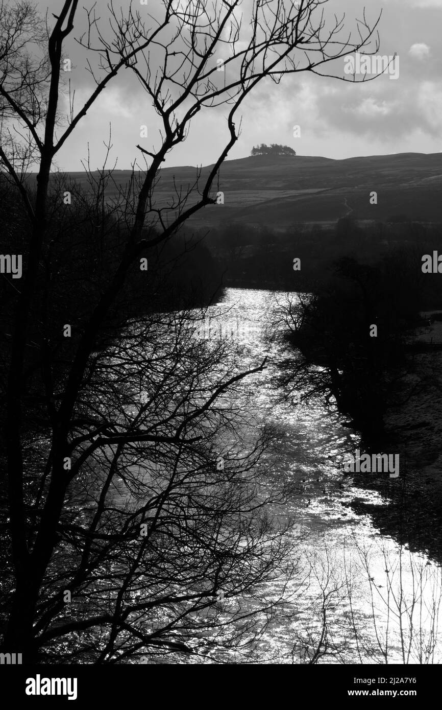 Looking up Upper Teesdale from River Tees near Dent Bank towards Kirkcarrion (small copse) and Crossthwaite, County Durham, England, UK Stock Photo