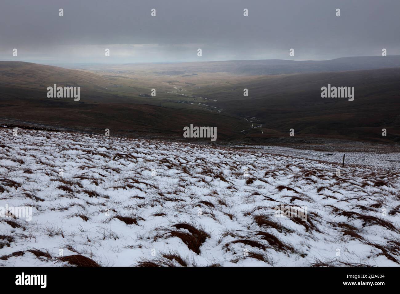 Looking towards Harwood Beck from Harwood Common, Upper Teesdale, County Durham, England, UK Stock Photo