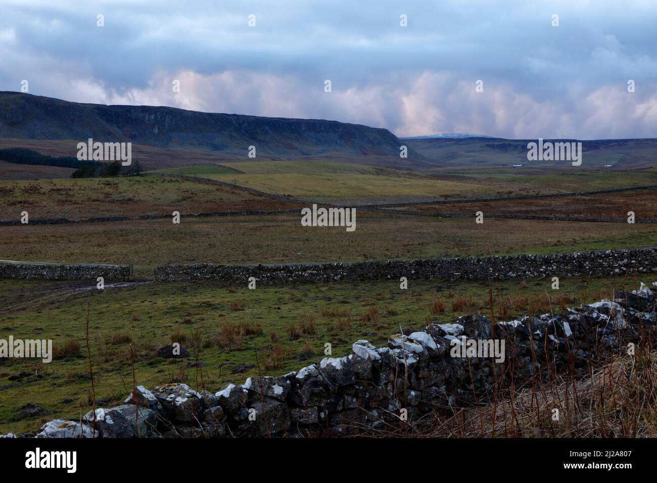 View across Cronkley Pasture to Cronkley Scar, Upper Teesdale, County Durham, England, UK Stock Photo