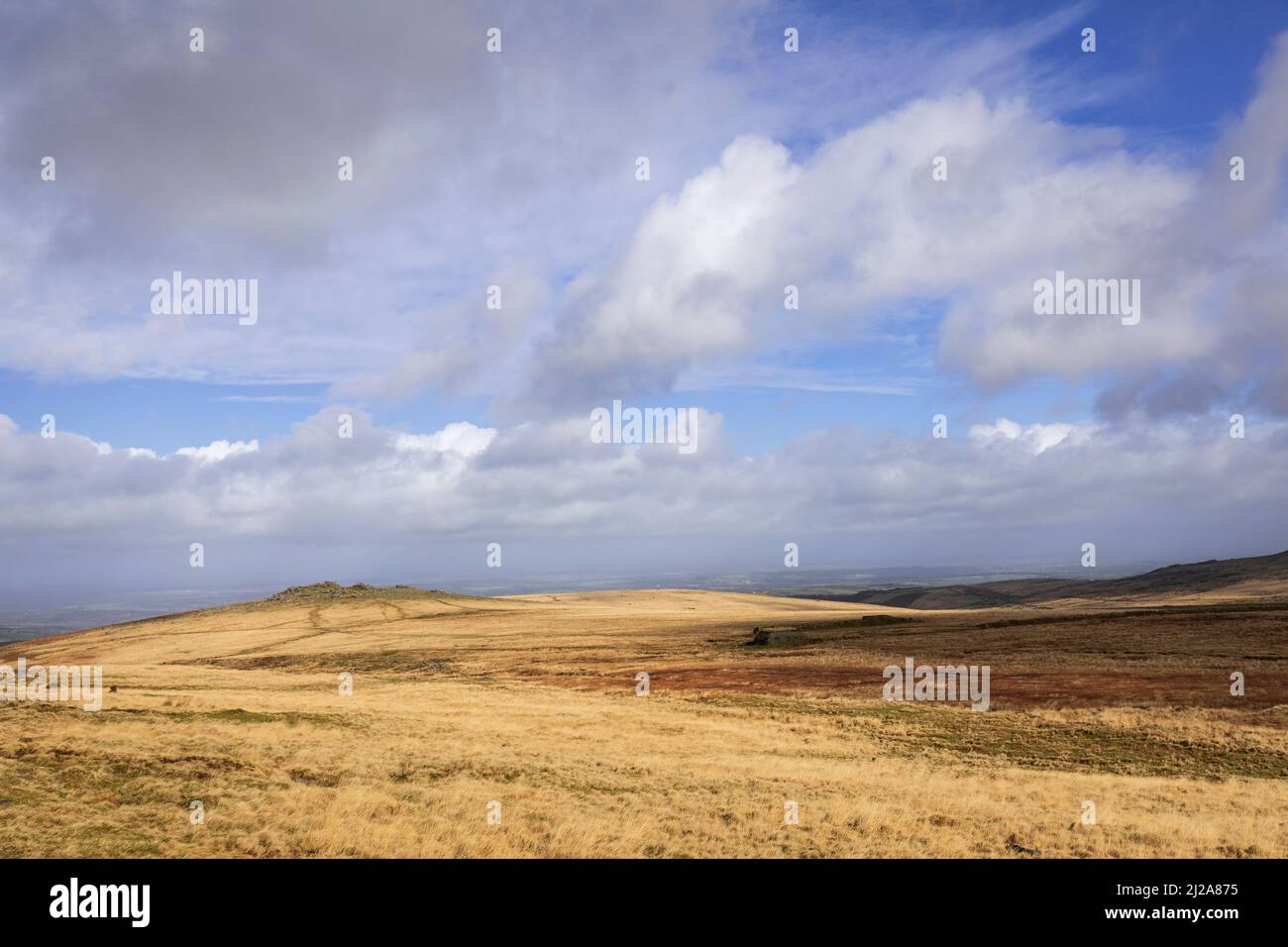 Ascending High Willhays the highest point on Dartmoor national park and the south of England, Okehampton Devon in the west of England UK Stock Photo