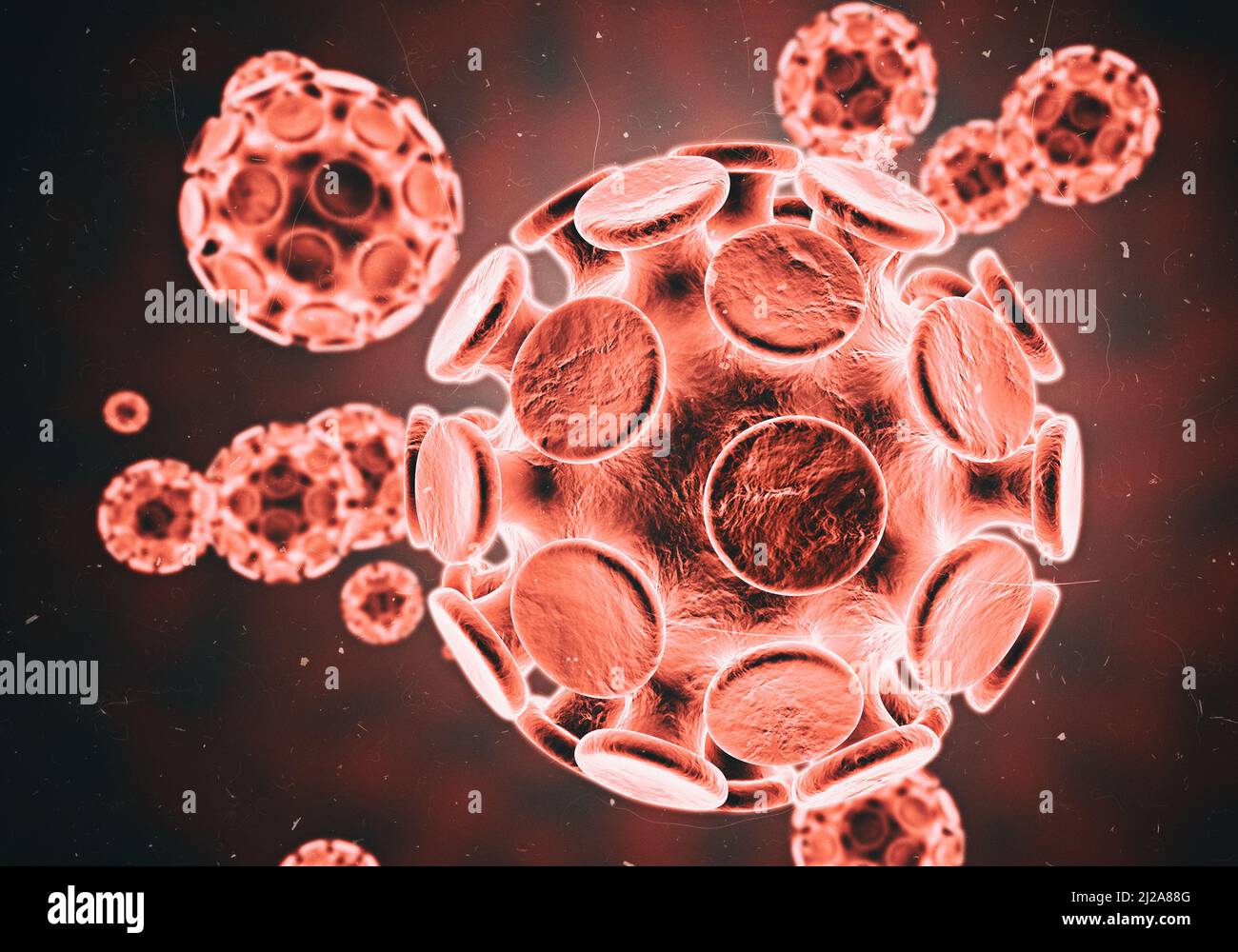 Zooming in on micro organisms. Microscopic view of living organisms in color Stock Photo Alamy Zooming in on micro organisms. Microscopic view of living organisms in color Stock Photo Alamy