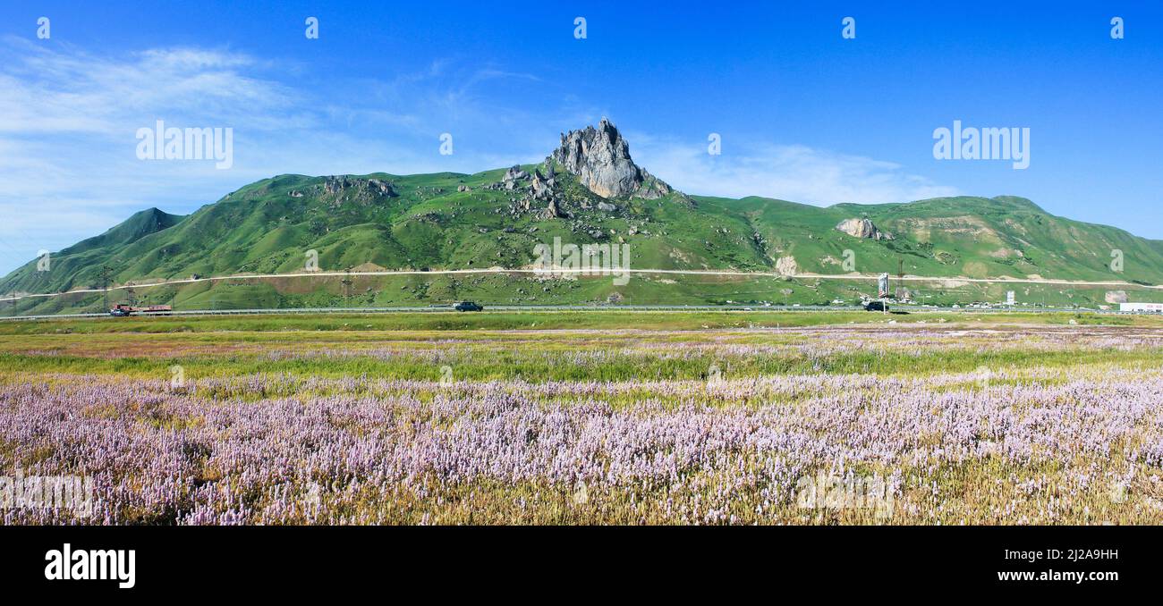 Lilac flowers bloom near the sacred mountain Beshbarmag. Azerbaijan. Stock Photo