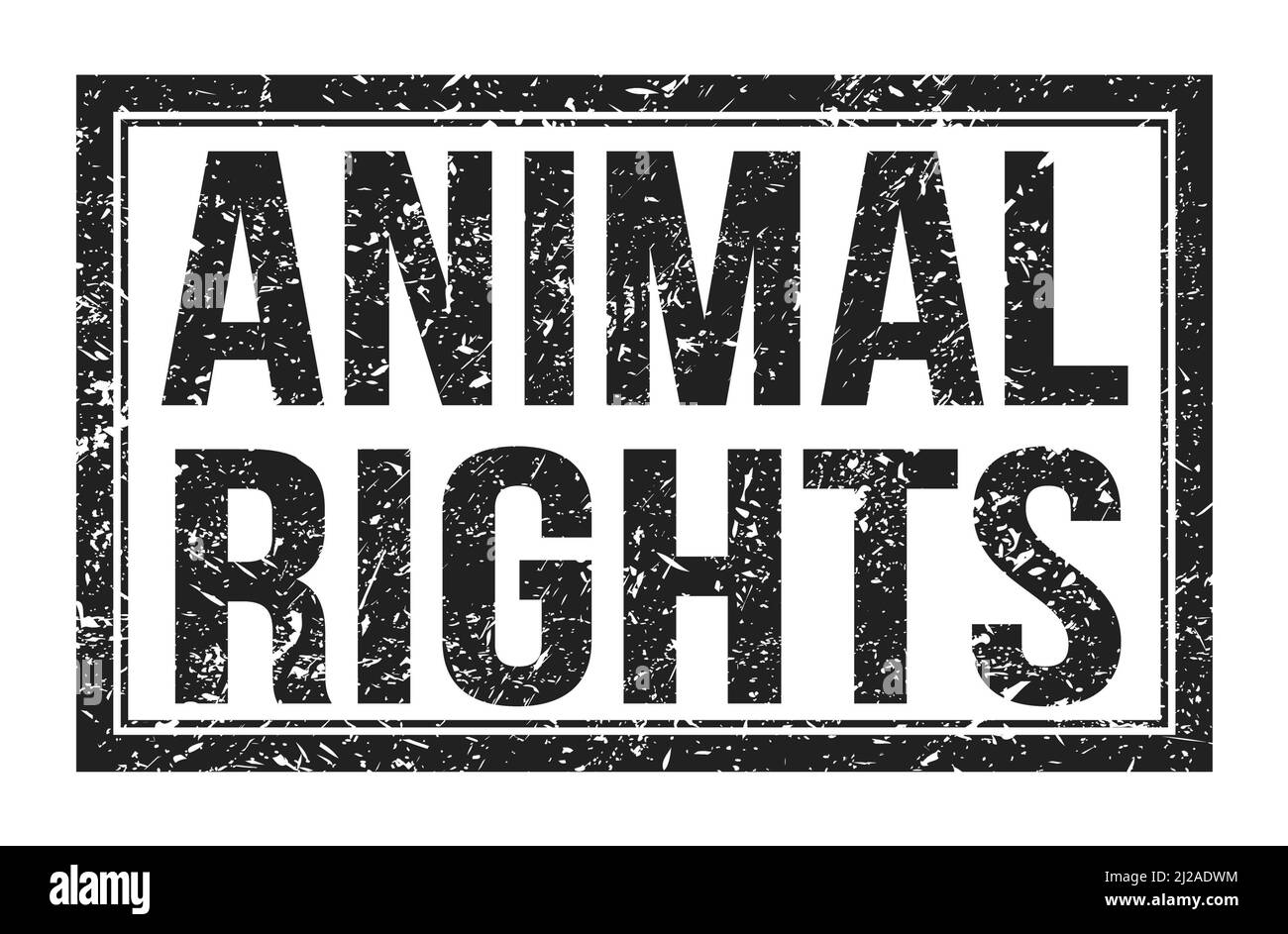 Animal Rights Text Grey ANIMAL RIGHTS, words written on black rectangle stamp sign Stock Photo ...