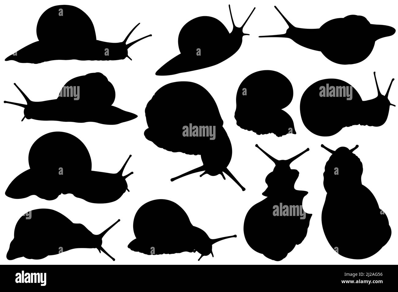 Set of different snail silhouettes isolated on white Stock Photo