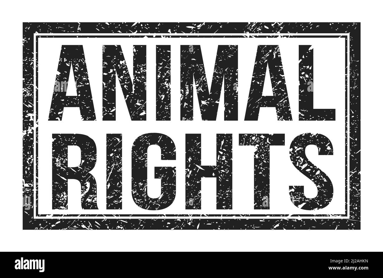 ANIMAL RIGHTS, words written on black rectangle stamp sign Stock Photo ...