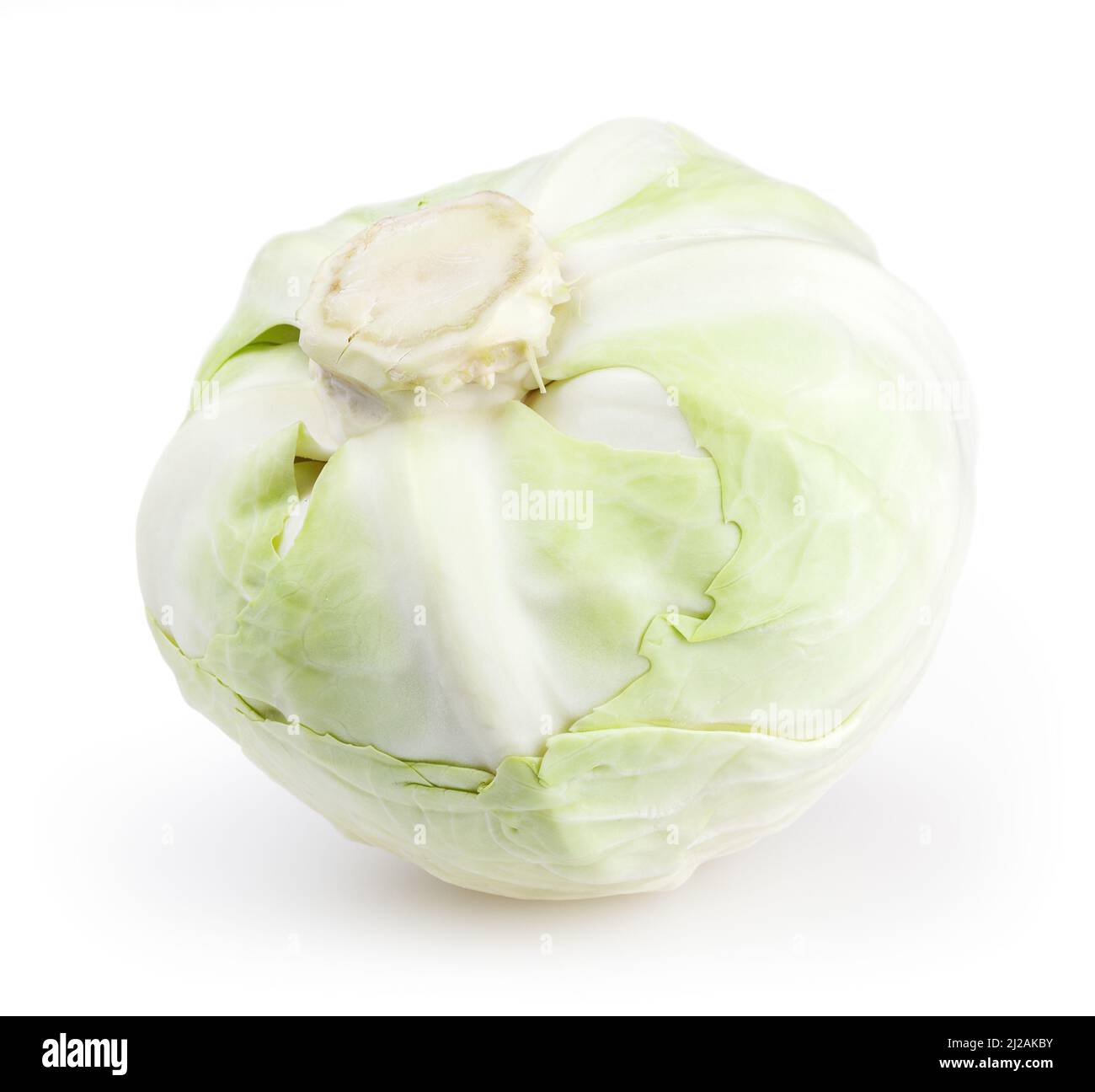 White cabbage isolated on white background with clipping path Stock Photo