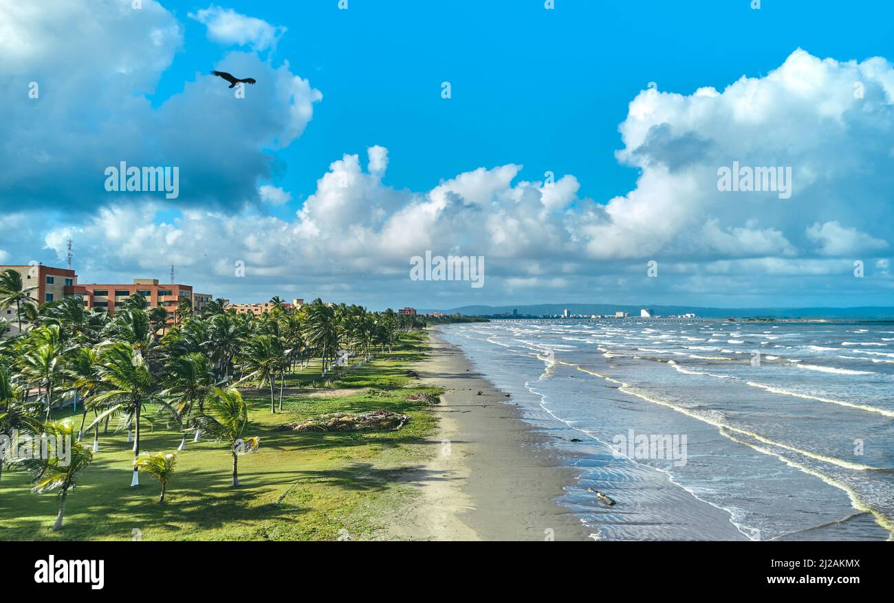 Paradisiacal place of palm trees and beach in Tucacas, Venezuela. Aerial View. Stock Photo