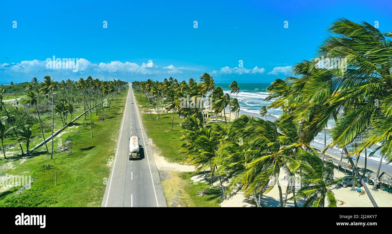 Beautiful Caribbean road with palm trees along the coast of Venezuela, aerial view. Stock Photo