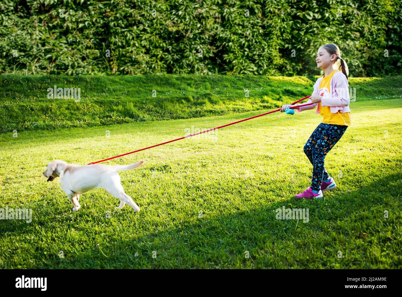 Dog hotsell leash girl