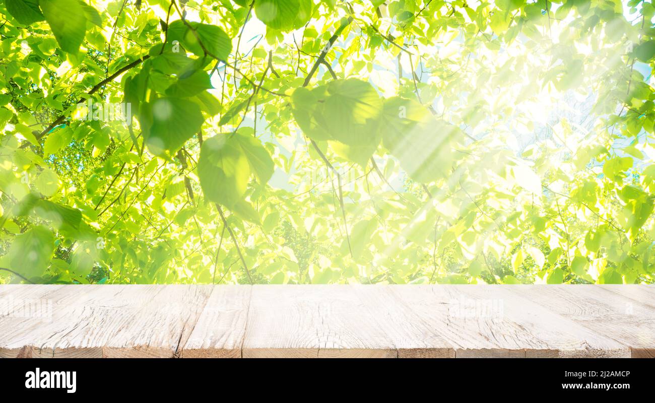 Old white vintage planked wood table in perspective on bright green bokeh summer background with with green leaves branch and sunlight. Stock Photo
