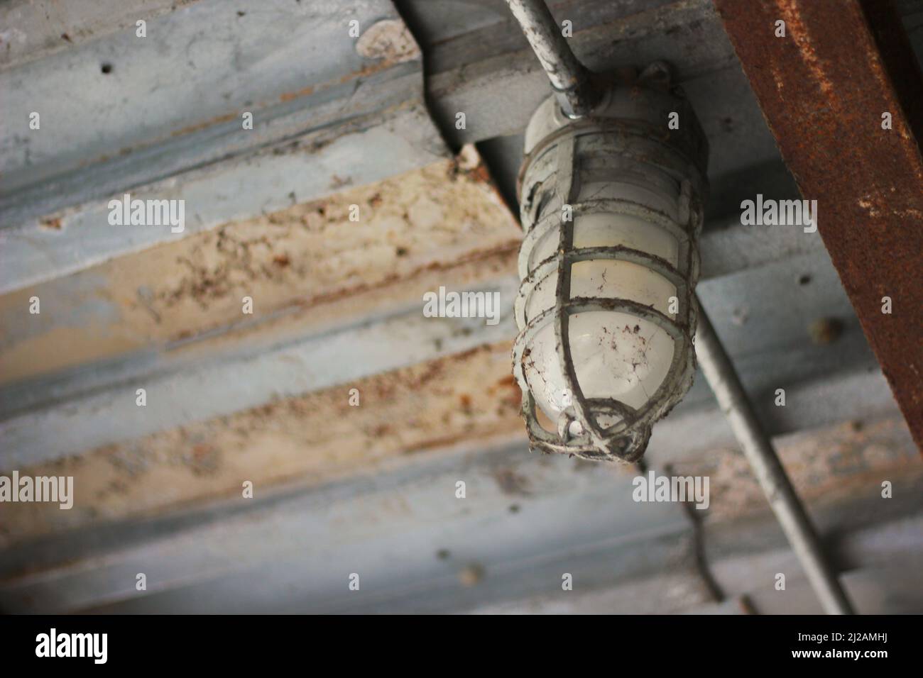Dirty old and corroded work light hanging from a gross ceiling Stock