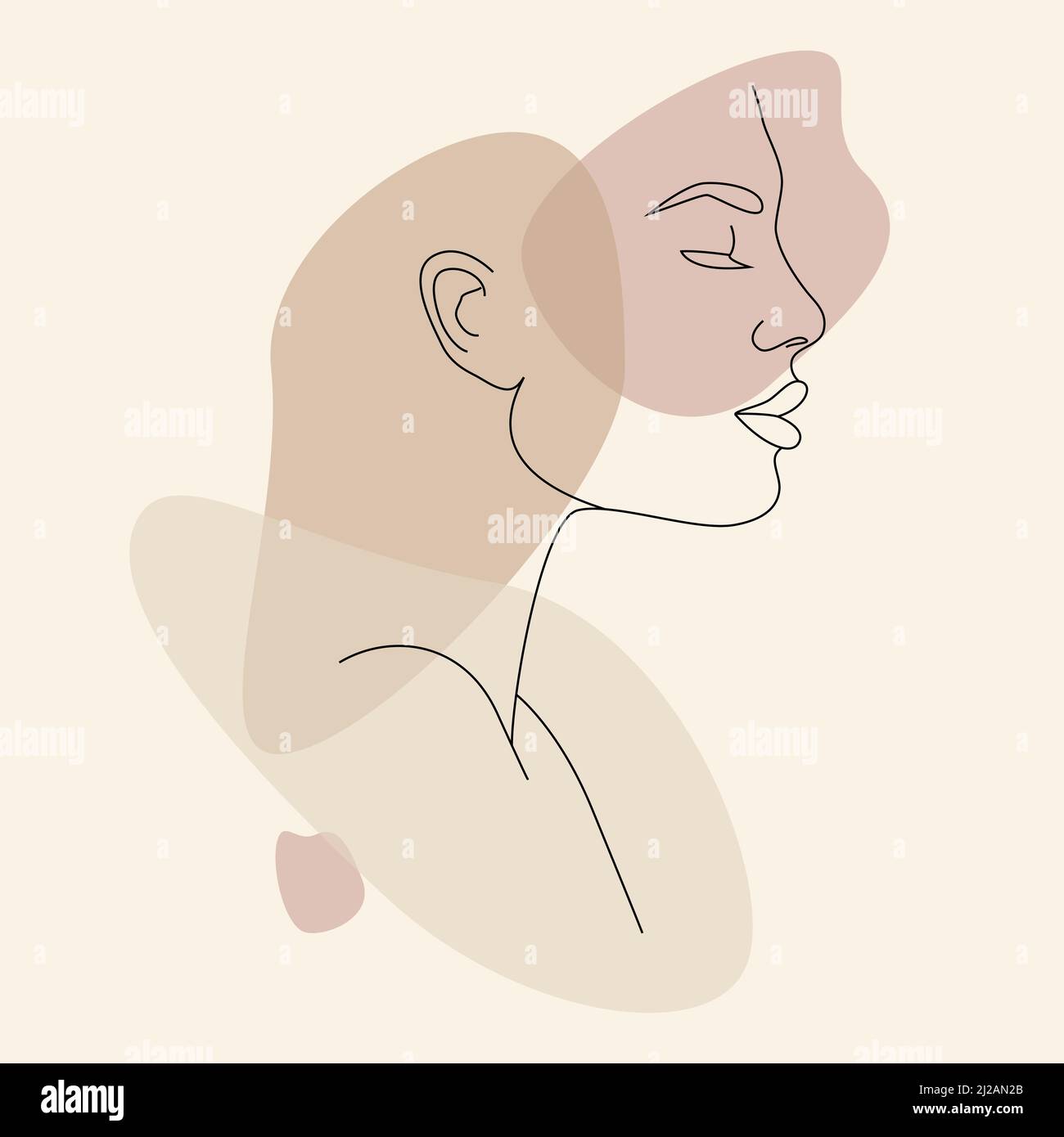 The contour of the face. A poster with an abstract female face ...
