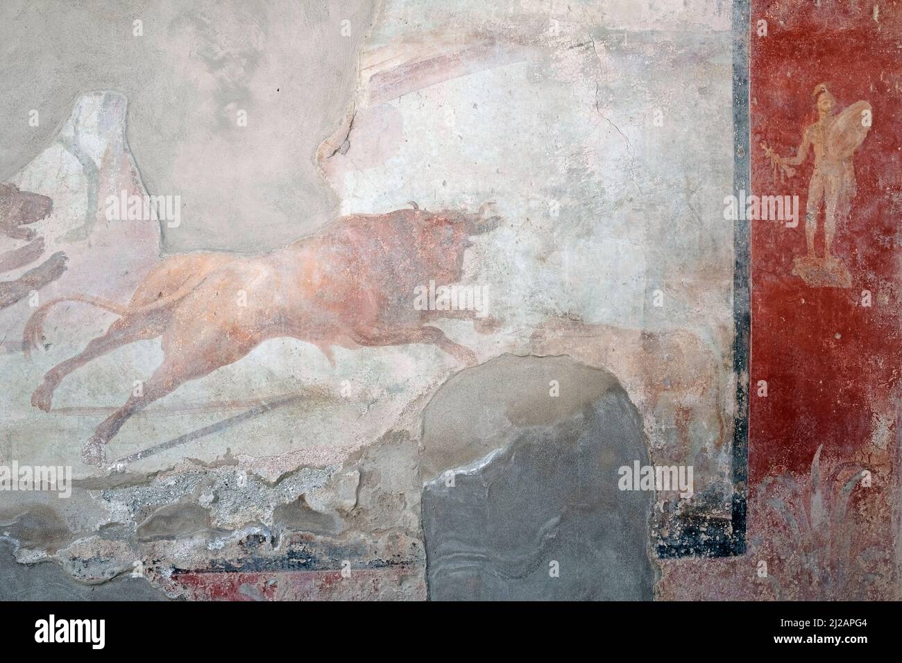 Wall paintings in the ruins of the ancient Roman city of Pompeii in