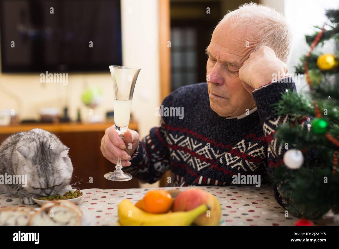 Lonely elderly man feeding cat at table during celebration of New Year Stock Photo