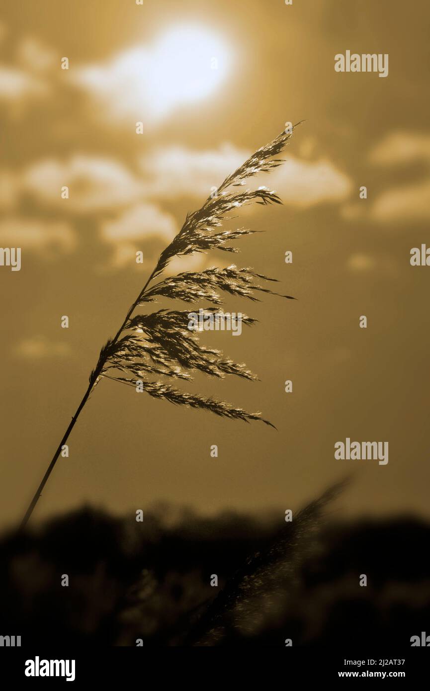 Onland waterways hi-res stock photography and images - Alamy