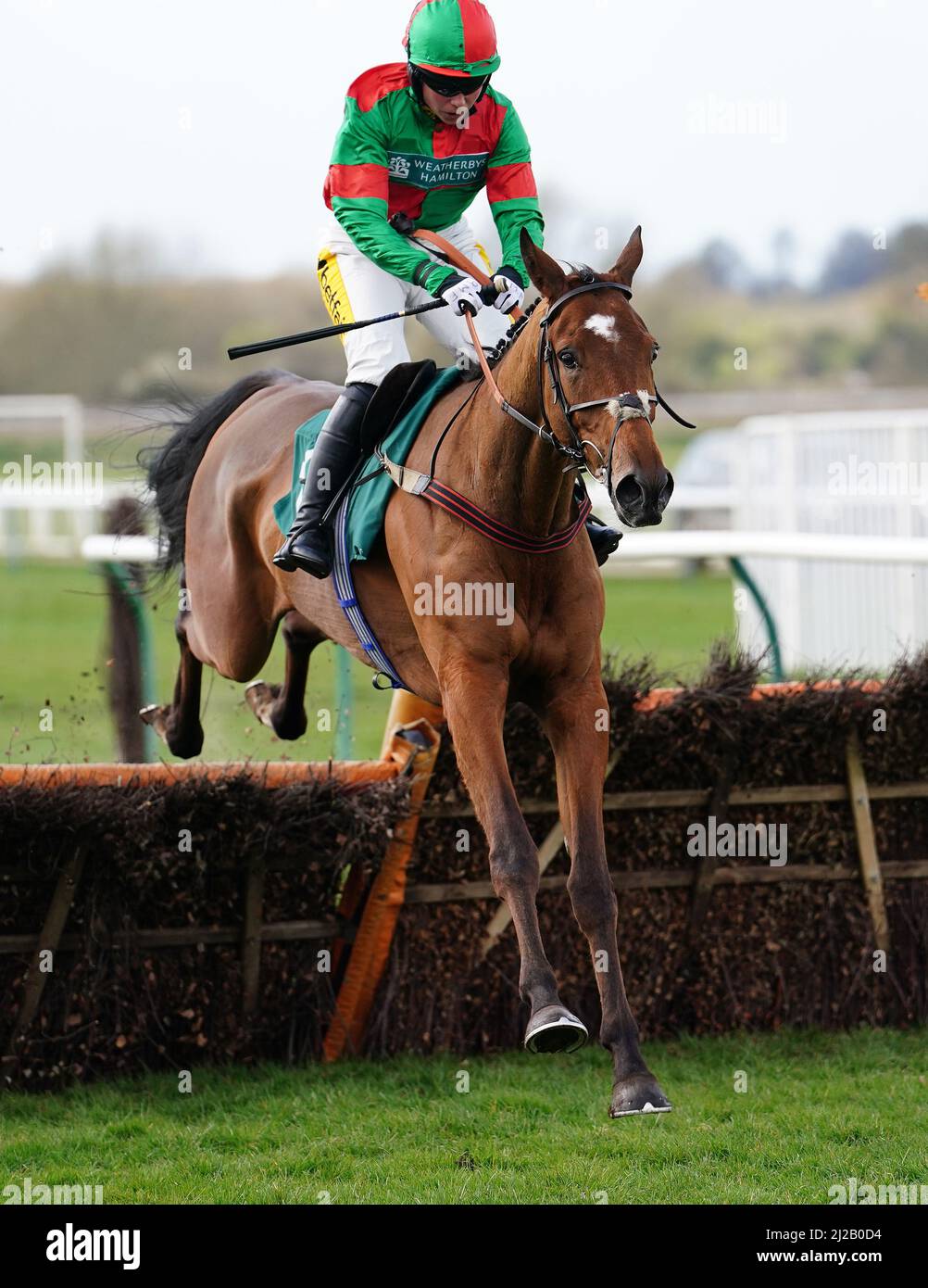 Bryony frost 2022 hires stock photography and images Alamy