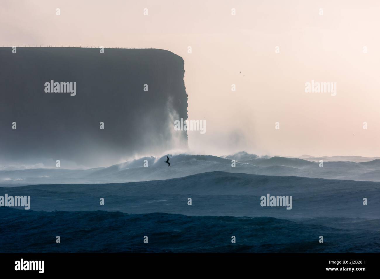 Cliffs and heavy seas, Orkney, UK Stock Photo