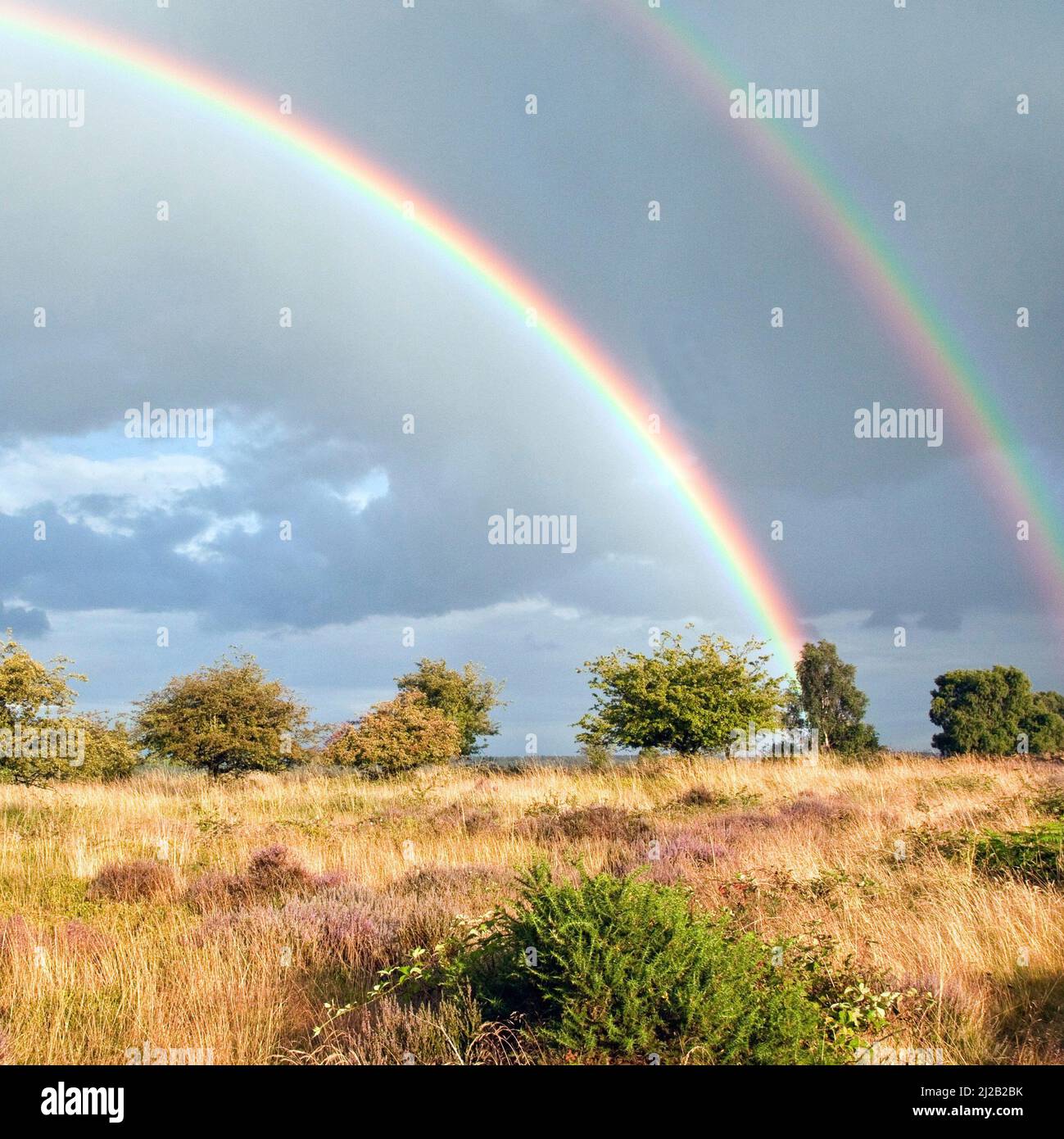 Rainbows across Brocton Field Cannock Chase Country Park AONB (area of outstanding natural beauty) in Staffordshire England UK Stock Photo